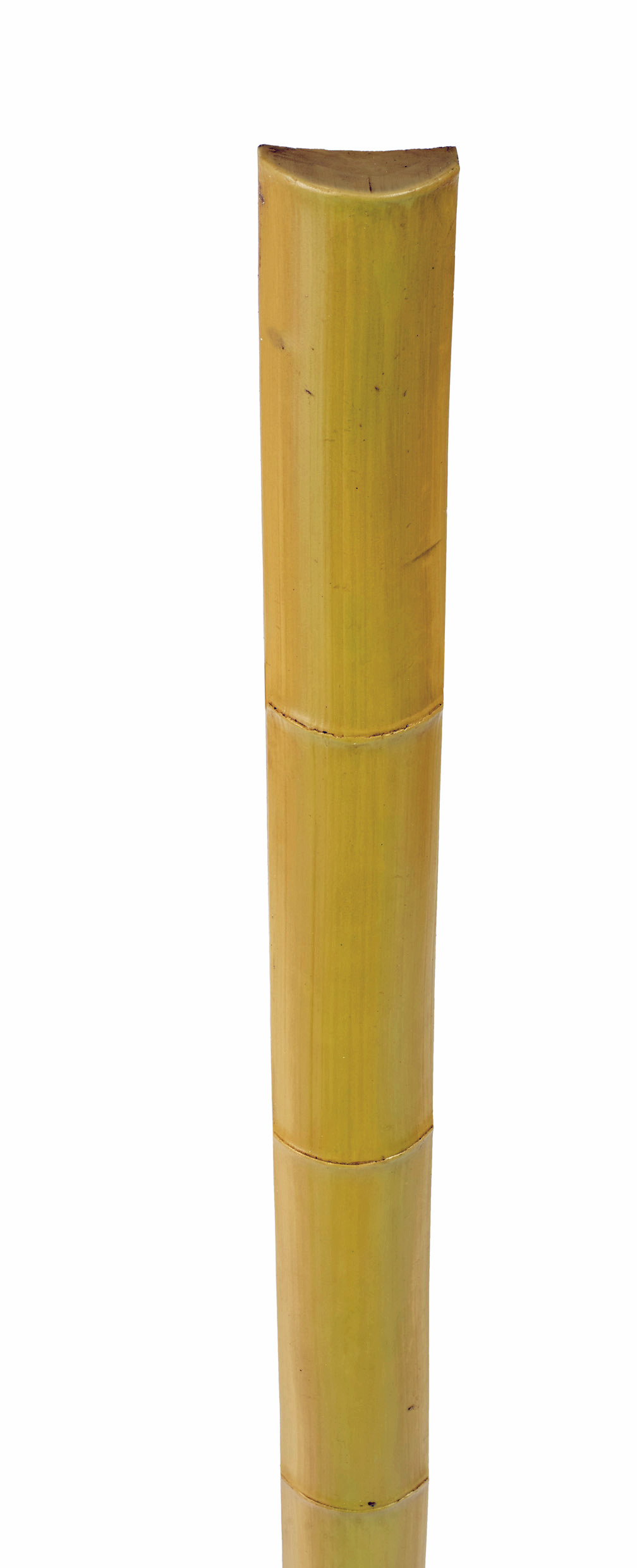 Bamboo Moulding - Young